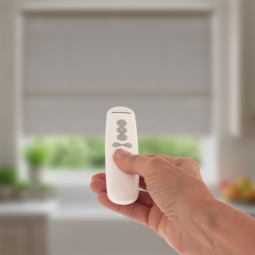 Optional 5-Channel Remote Control