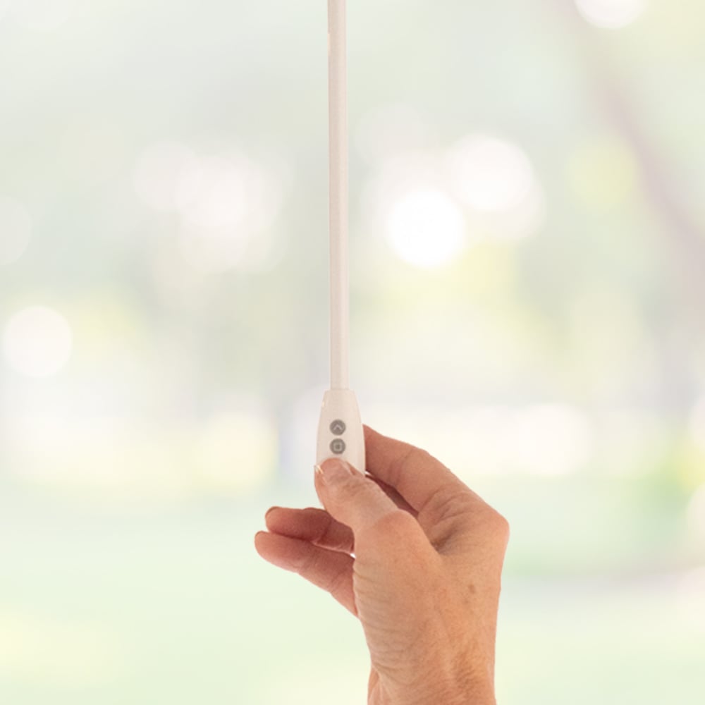 Optional Wand Motorization