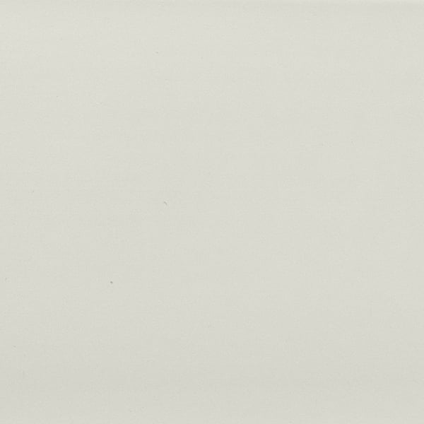 Fossil sample
