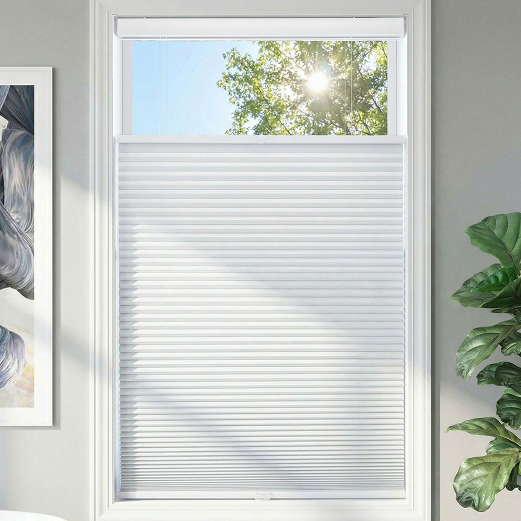 Cordless Blackout Top Down Bottom Up Single Cellular Shades - White