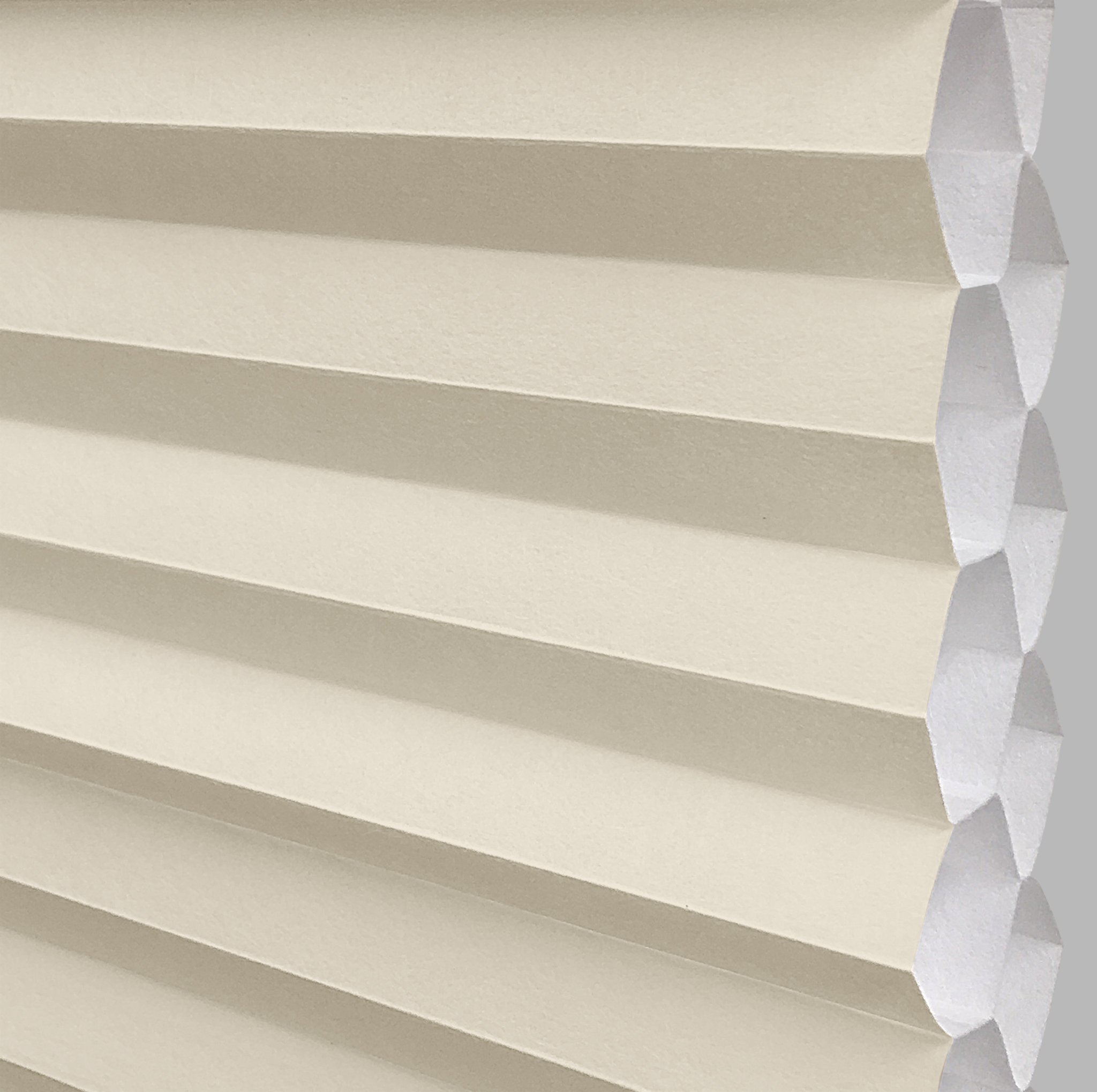 Ivory Beige sample