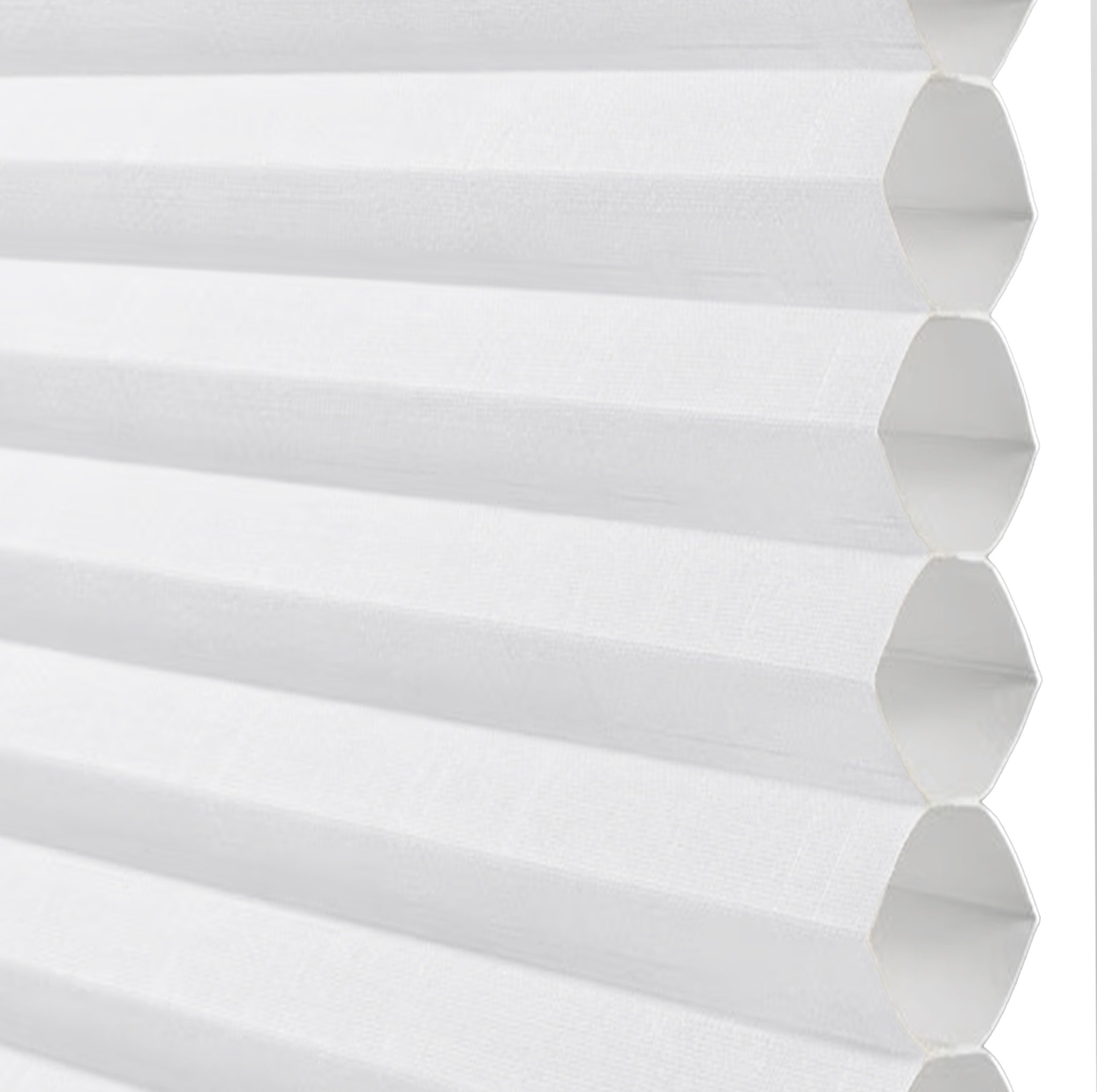 Cool White