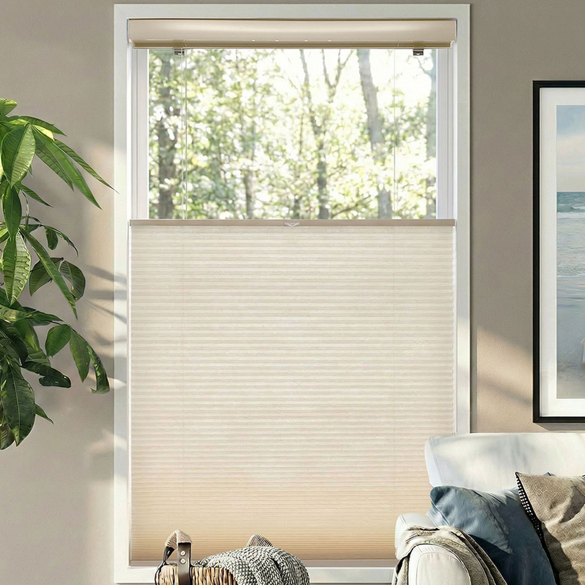 Cordless Light Filtering Top Down Bottom Up Single Cellular Shades - Ivory Beige