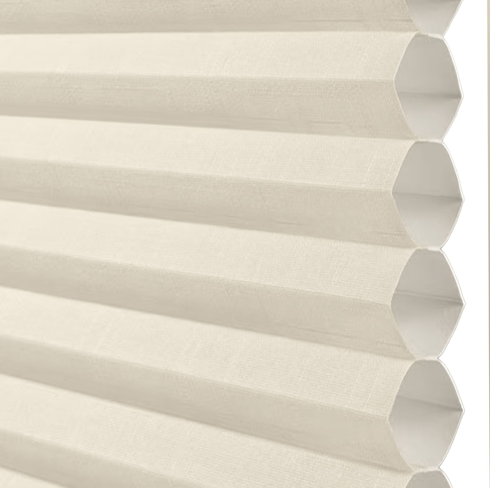 Ivory Beige