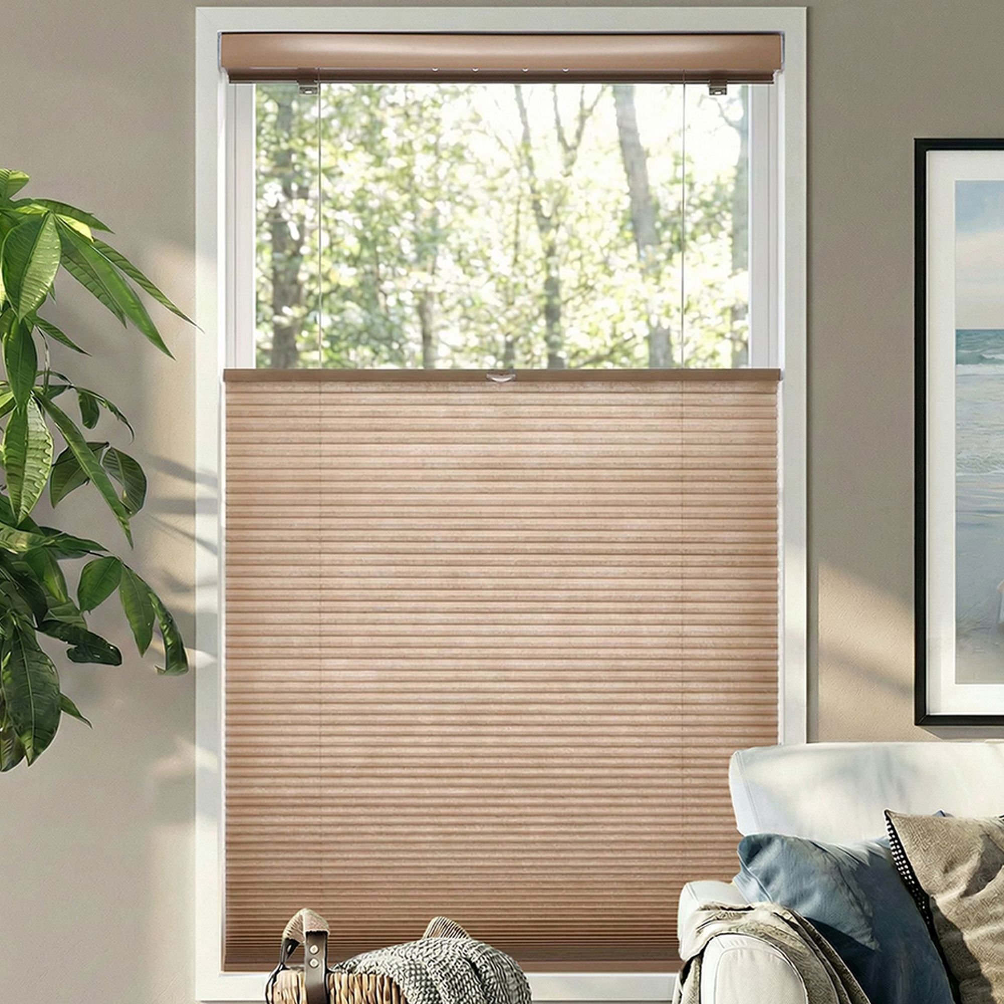 Cordless Light Filtering Top Down Bottom Up Single Cellular Shades - Antique Linen