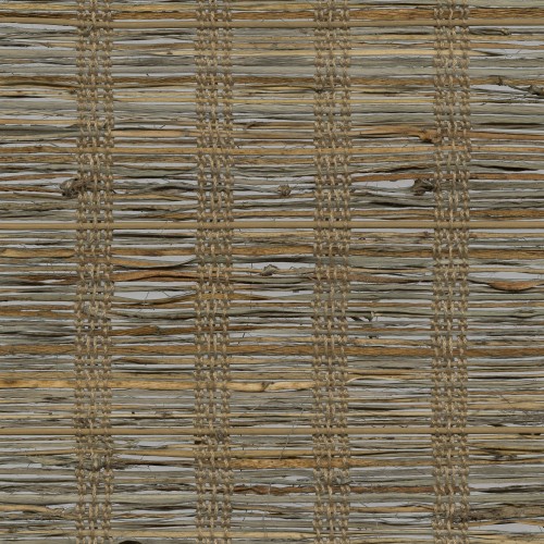 Playa Palm sample