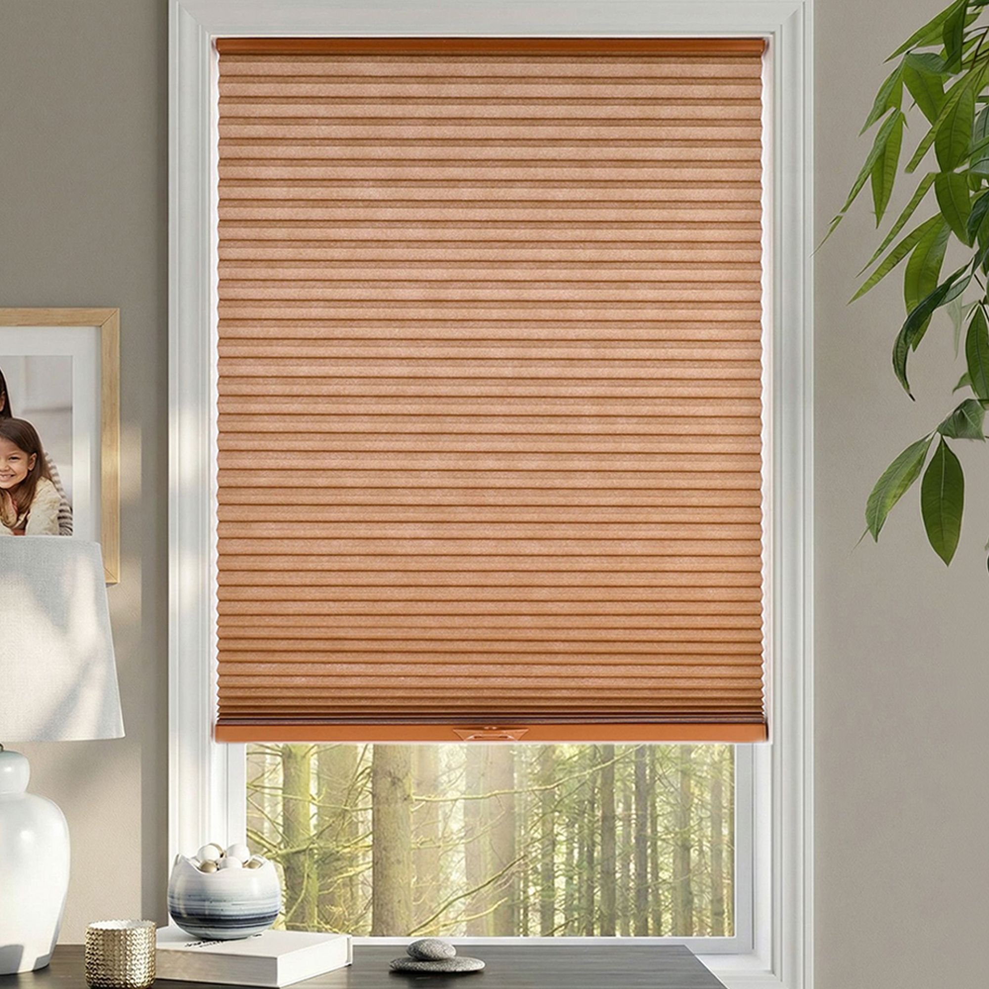 Deluxe Light Filtering Single Cellular Shades - Clay