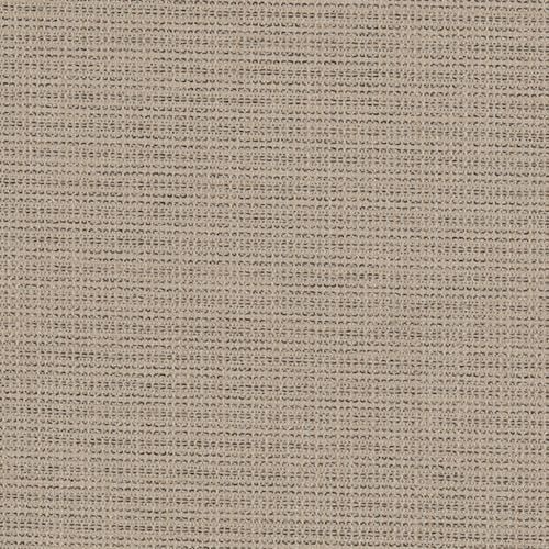 Kingston - Doe sample