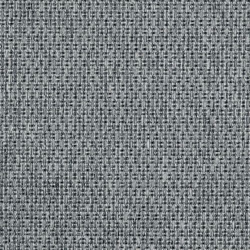 Leo - Charcoal sample