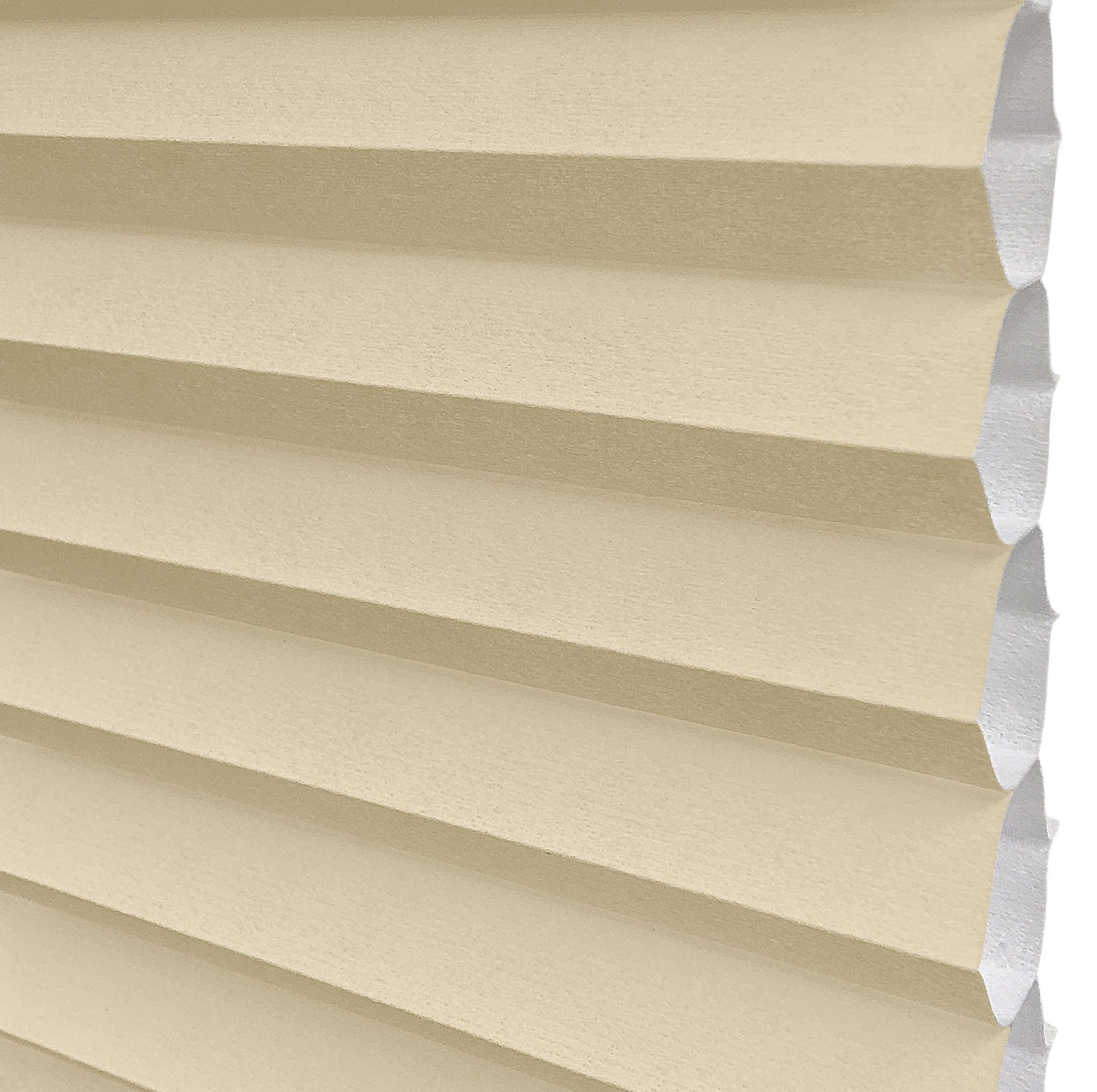 Parchment sample