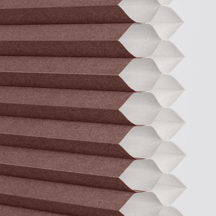 Cinnamon sample