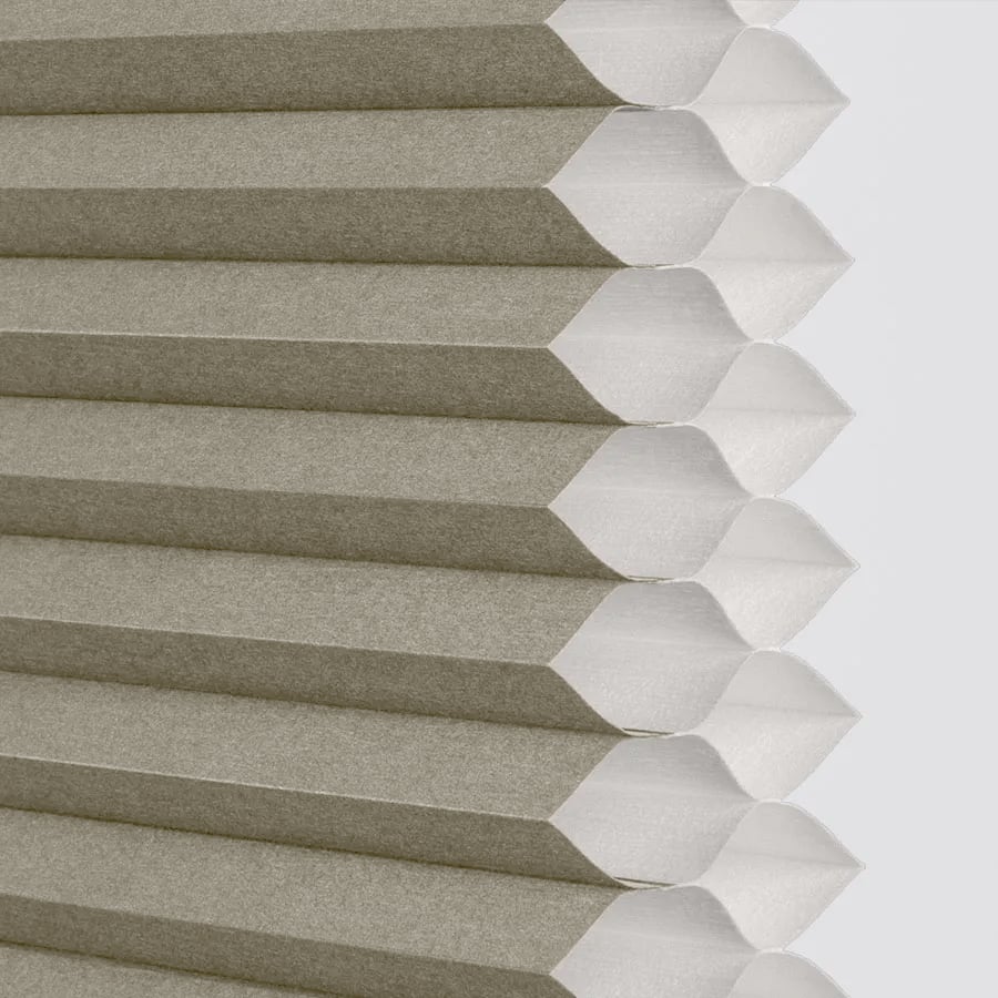Corriandor sample