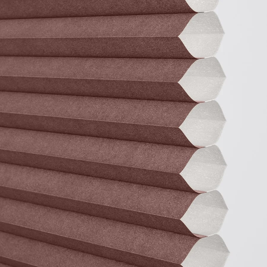 Cinnamon sample