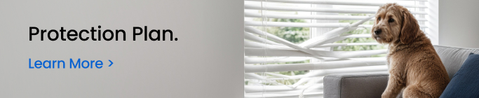 Protect Your Investment with a Protection Plan!