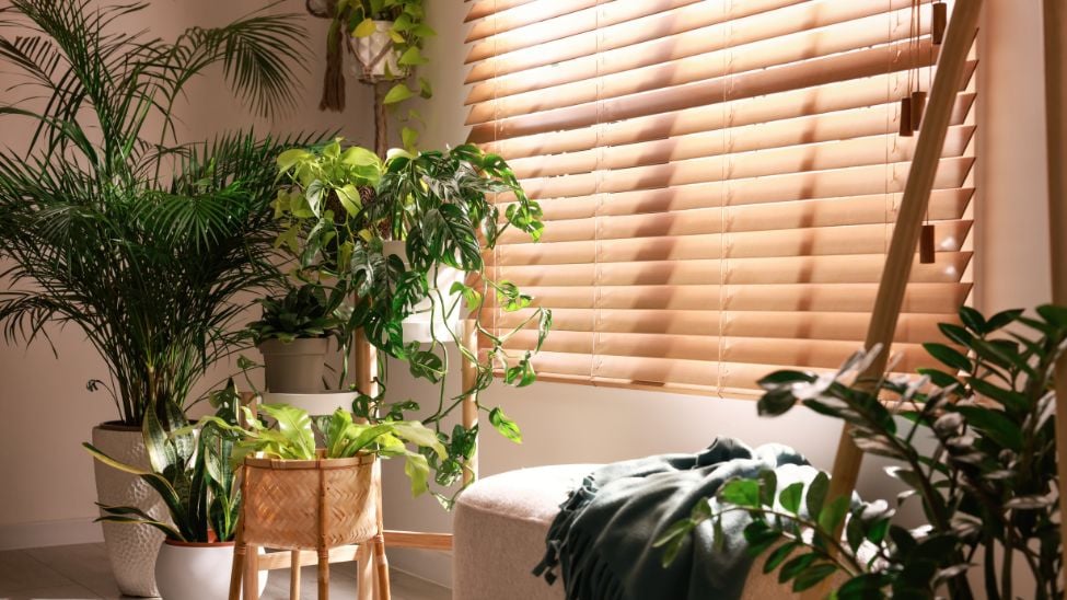 Faux wood is best for bathrooms