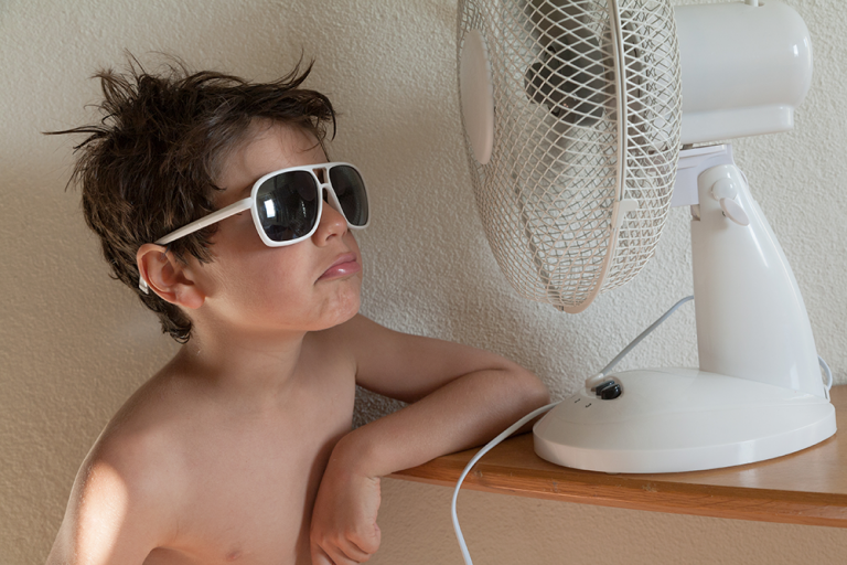 Become a Fan of Fans