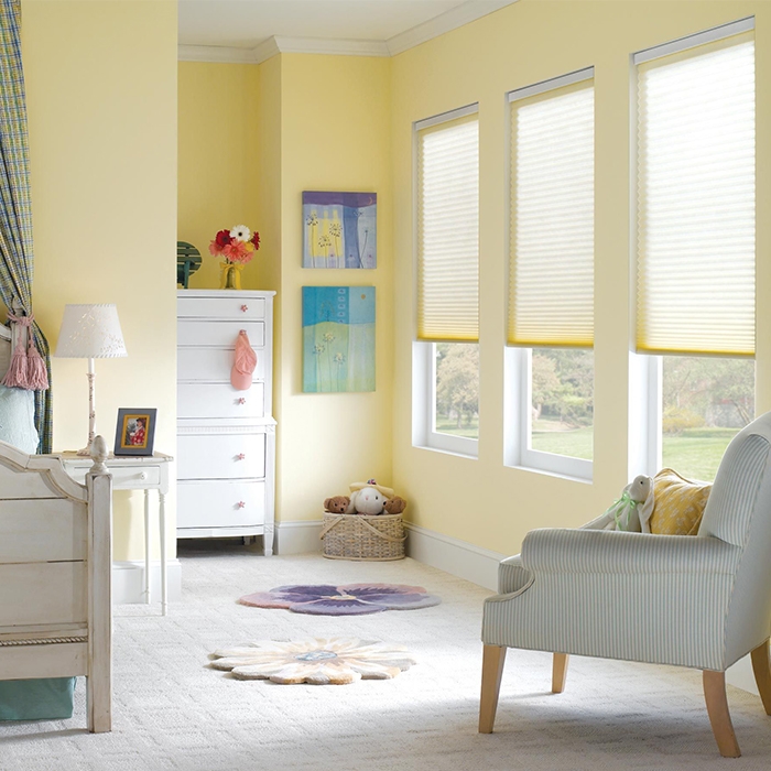 Insulated Window Treatment