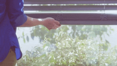 Cordless Blinds