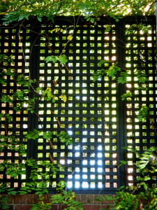 Privacy trellis