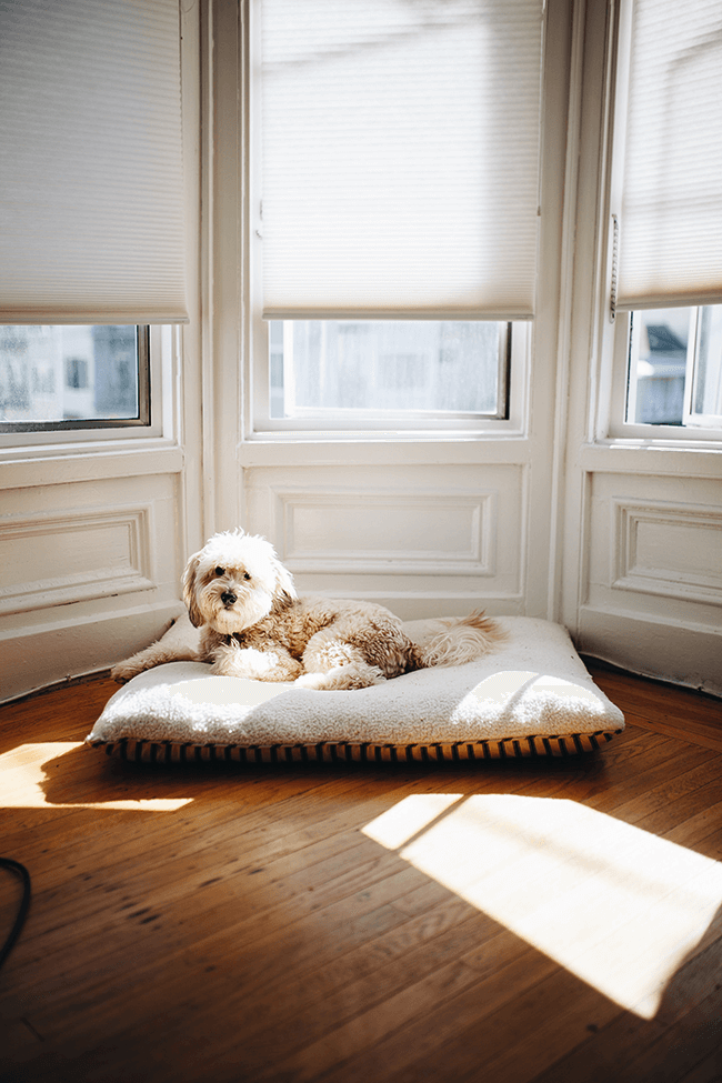 5. Buy Window Shades That Allow Maximum Natural Light