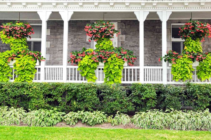 Hanging plants on a front porch
