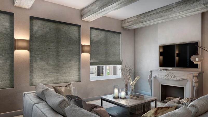 Bamboo Woven Wood Shades in Living Room