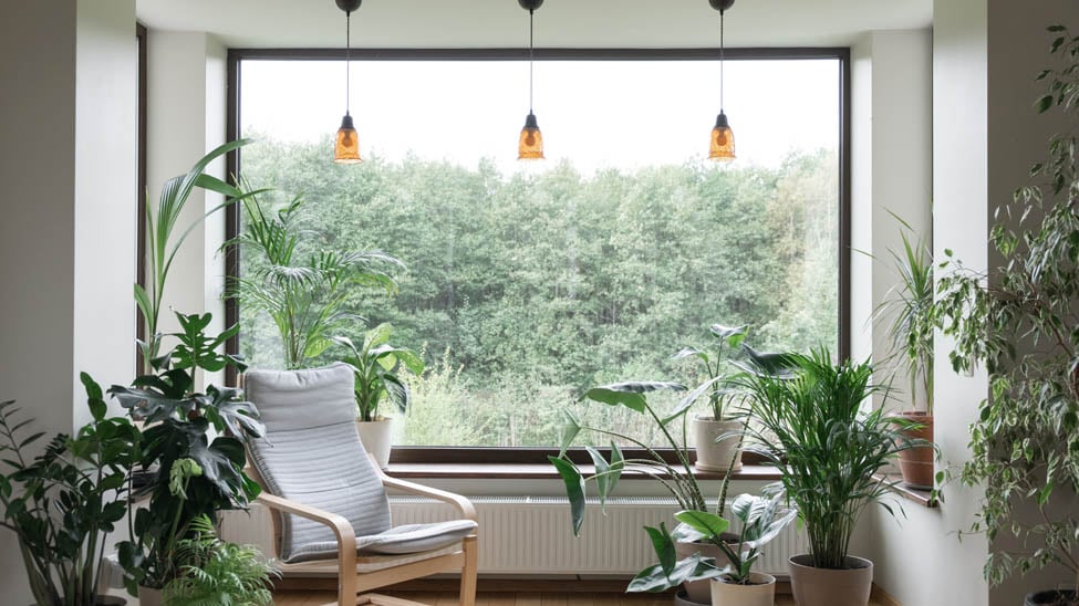 Blinds and shades for modern organic decor