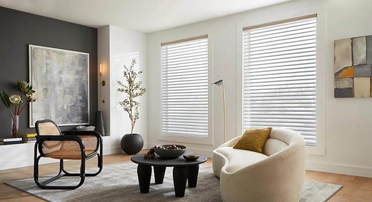 Sheer horizontal shades in a sitting room