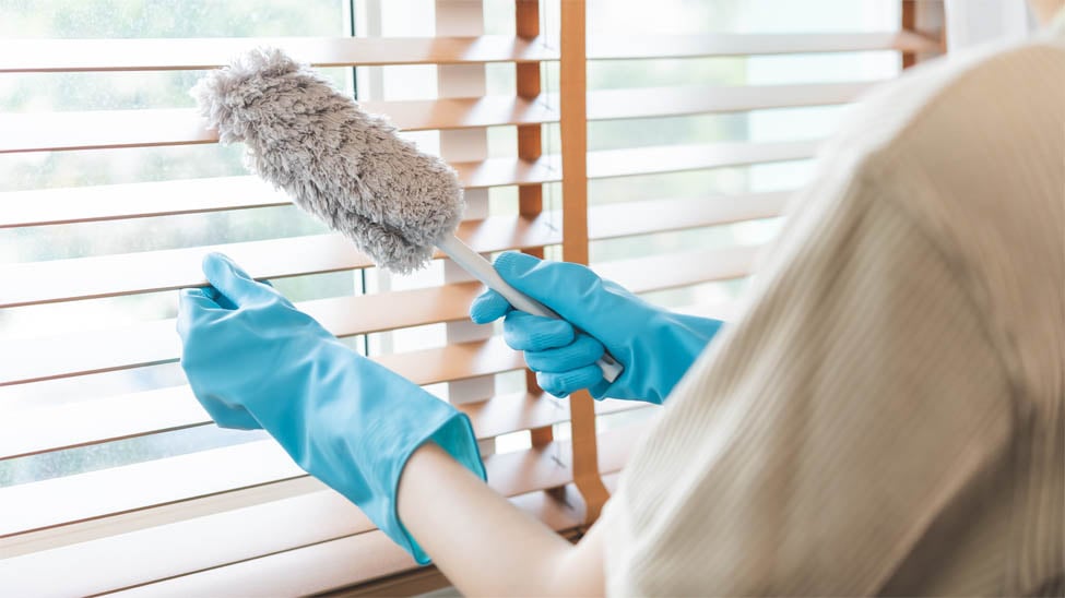Dust resistant blinds