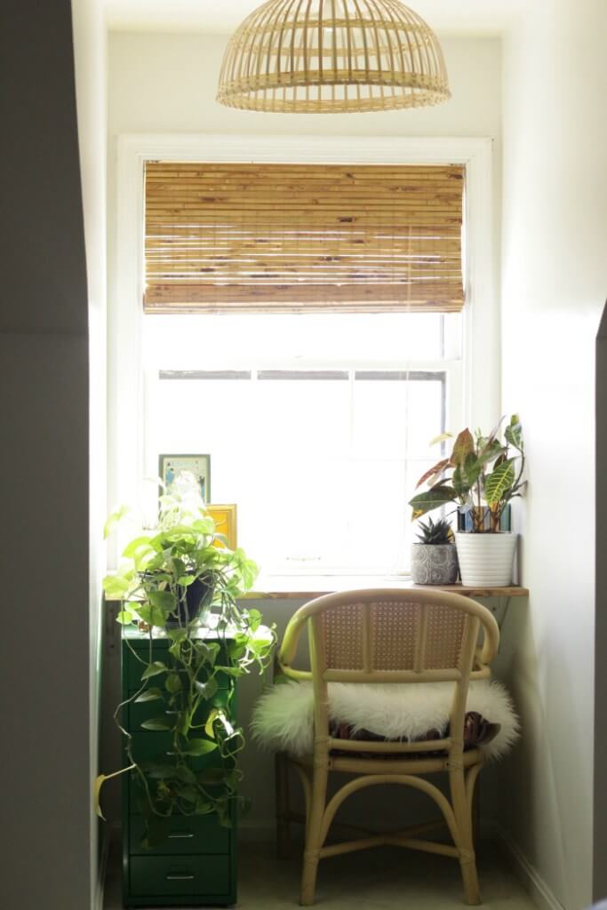 Decorate using indoor-friendly plants