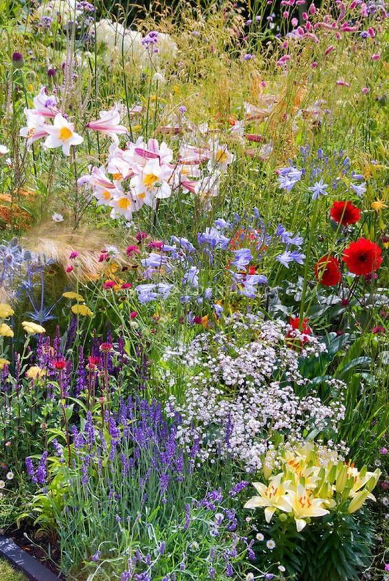Create a wildflower zone for low-maintenance landscaping.