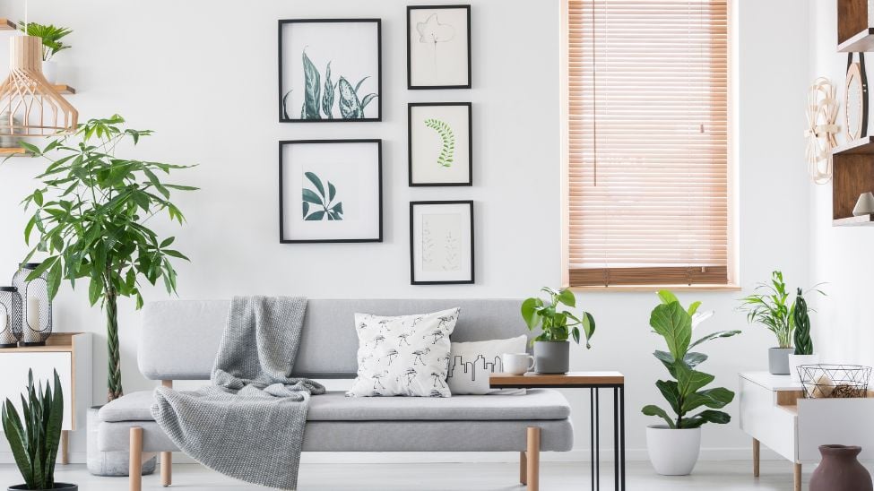 How to find great blinds on a budget
