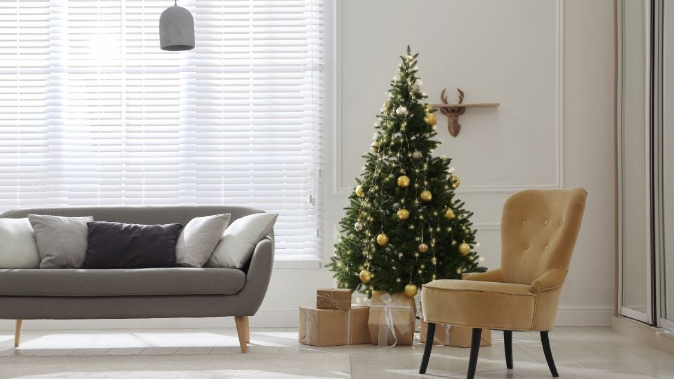 Dress up your windows for the holidays